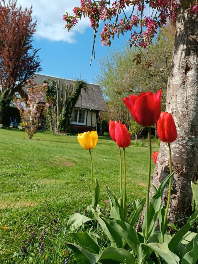 La Petite Maison Hébergement de vacances Bosroumois
